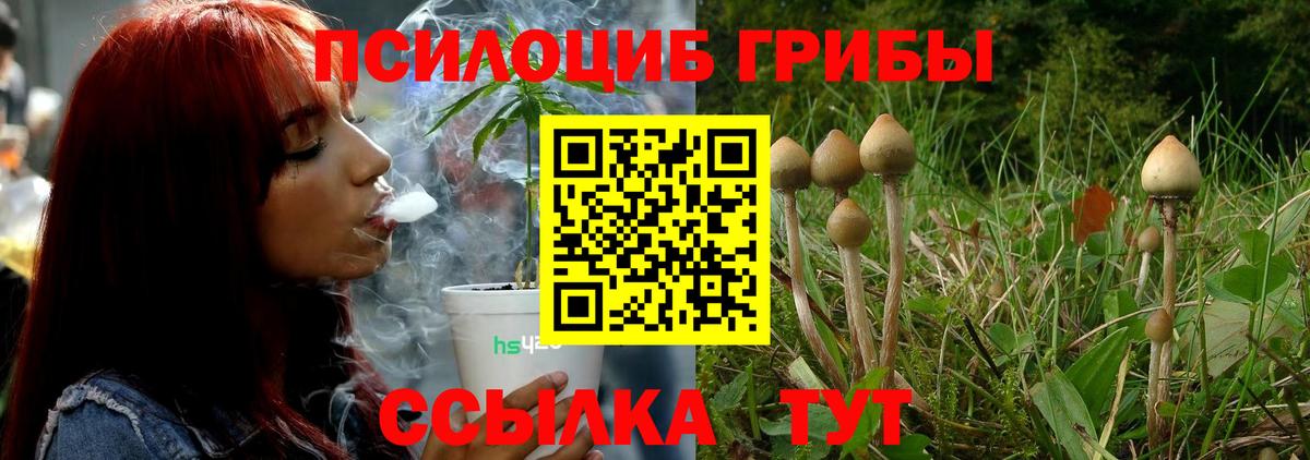 Псилоцибиновые грибы Magic Shrooms Полевской